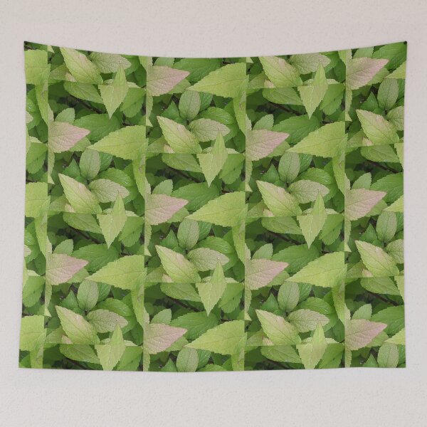 Item preview, Leaves designed and sold by Quirkyalonester.