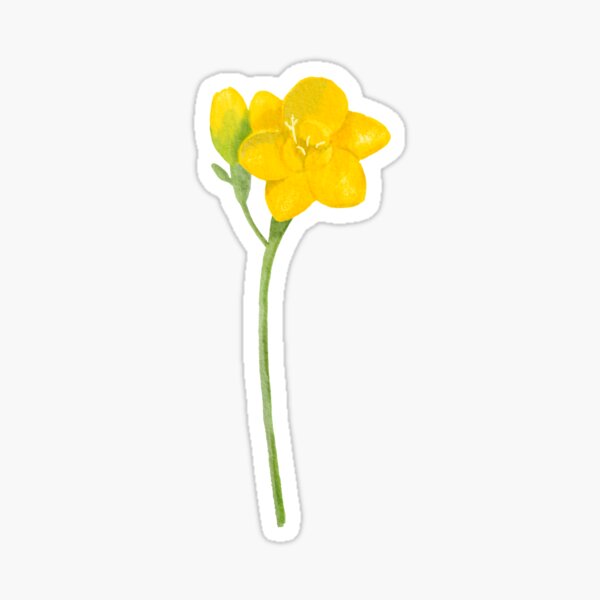 Regalos y productos: Flor De Fresia | Redbubble