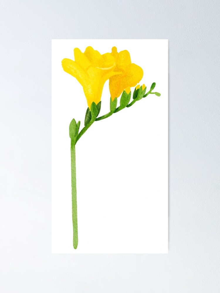 Póster «flor de primavera, fresia, flor amarilla» de elistudioo | Redbubble