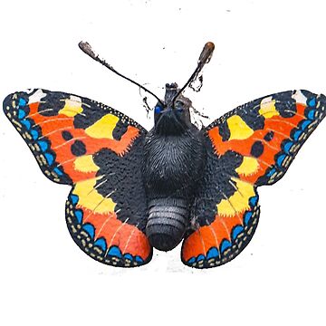 Artwork thumbnail, Butterfly 1 by designbywhacky