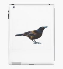 Common Grackle Looking Right iPad Case/Skin