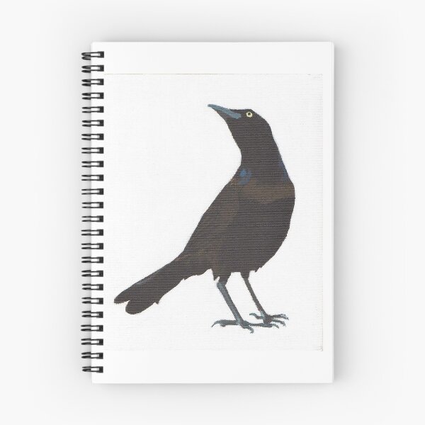 Item preview, Common Grackle Looking Up designed and sold by Moonpye.