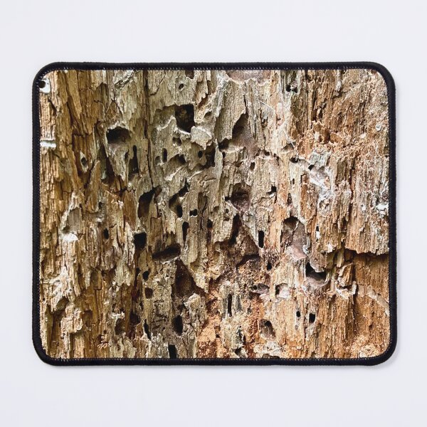 Item preview, Abandoned Home in The Forest designed and sold by perryartdesign.