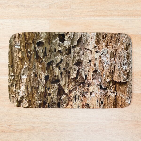Item preview, Abandoned Home in The Forest designed and sold by perryartdesign.