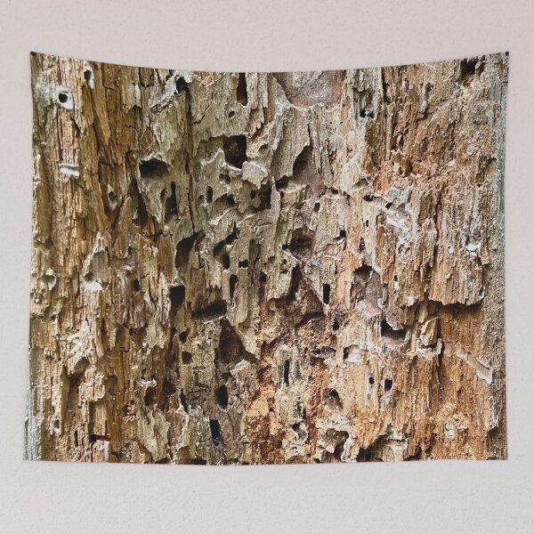 Item preview, Abandoned Home in The Forest designed and sold by perryartdesign.