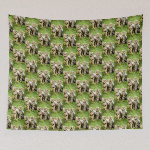 Item preview, Cheetahs can be  So beautiful. Especially when they're little. designed and sold by oneclassyman.