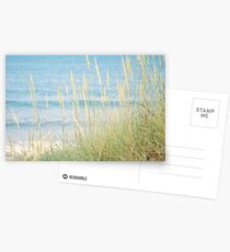 SEAGRASS Postcards