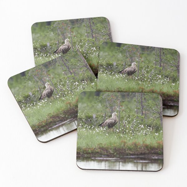 Item preview, Standing bold. White-tailed eagle designed and sold by Jouko Lehto Photography.