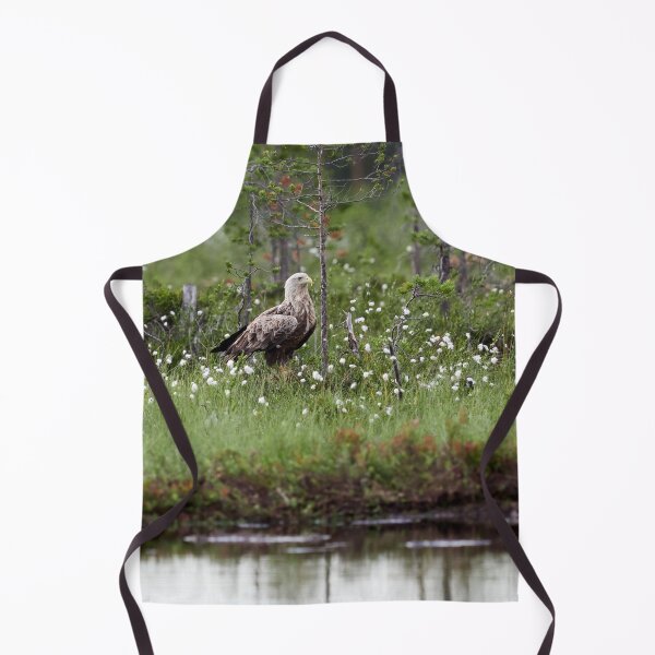 Item preview, Standing bold. White-tailed eagle designed and sold by Jouko Lehto Photography.