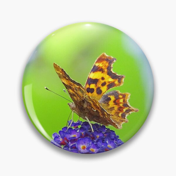 Item preview, “ Summer Comma “ designed and sold by Richard Couchman.