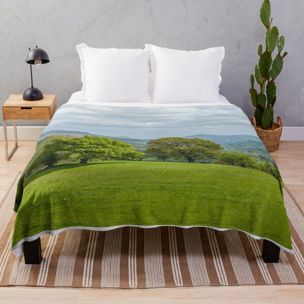 Item preview, Landscape View to the Sugarloaf Brecon Beacons designed and sold by Cameranick.