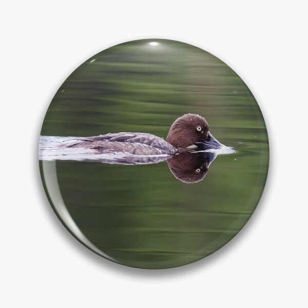 Item preview, Tasting the waters. Common goldeneye designed and sold by Jouko Lehto Photography.