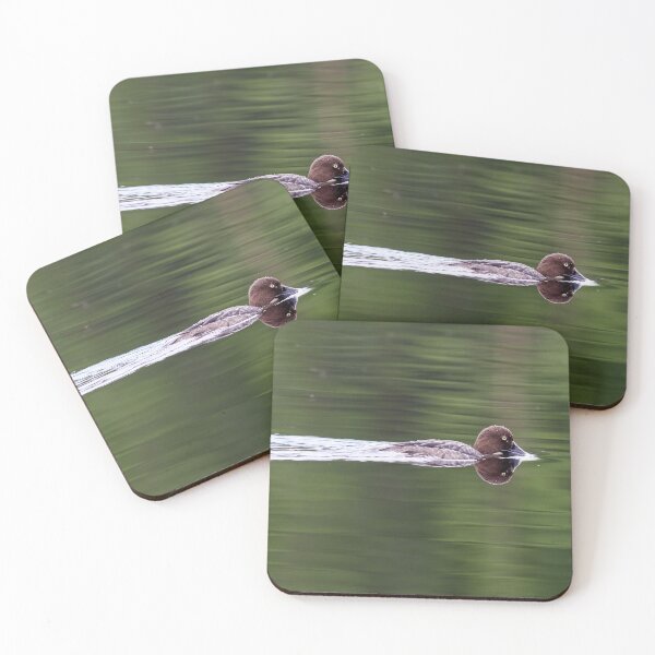 Item preview, Tasting the waters. Common goldeneye designed and sold by Jouko Lehto Photography.