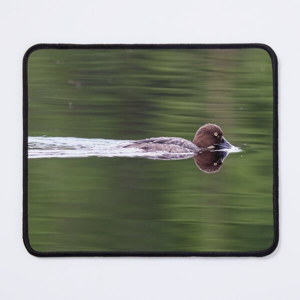 Item preview, Tasting the waters. Common goldeneye designed and sold by Jouko Lehto Photography.