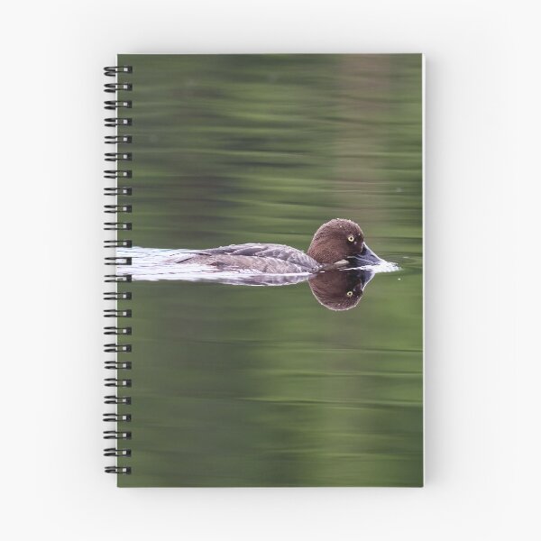 Item preview, Tasting the waters. Common goldeneye designed and sold by Jouko Lehto Photography.