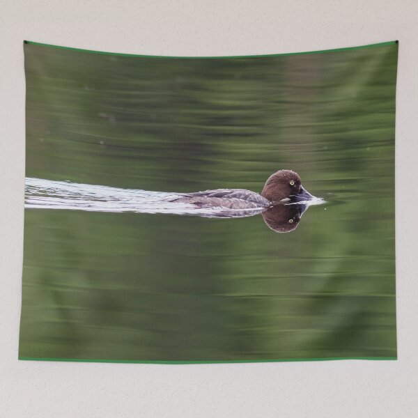 Item preview, Tasting the waters. Common goldeneye designed and sold by Jouko Lehto Photography.