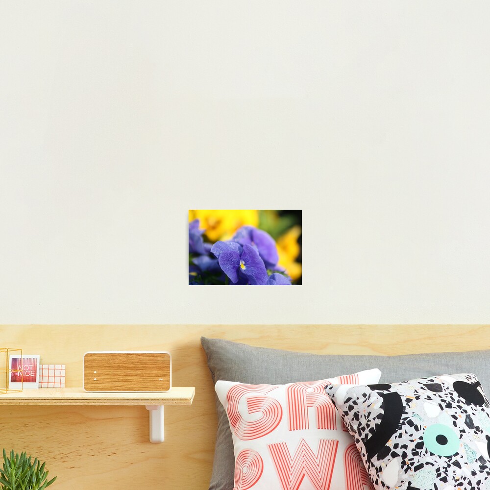 Item preview, Photographic Print designed and sold by sharwell.