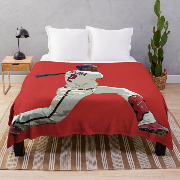 St. Louis Cardinals Queen Bed In Bag Set 