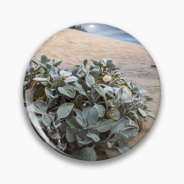 Item preview, Sand Plant designed and sold by Geoff Wols.