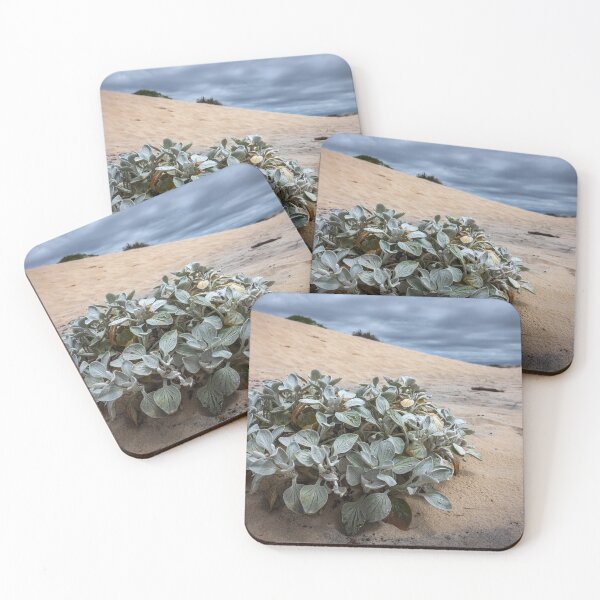 Item preview, Sand Plant designed and sold by Geoff Wols.