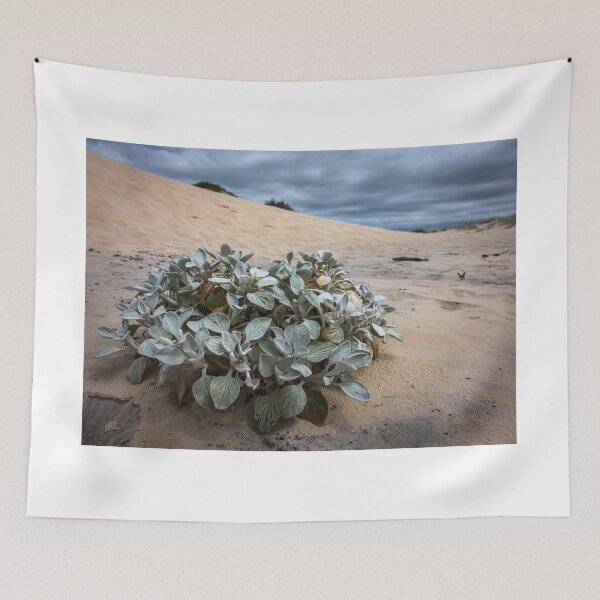 Item preview, Sand Plant designed and sold by Geoff Wols.