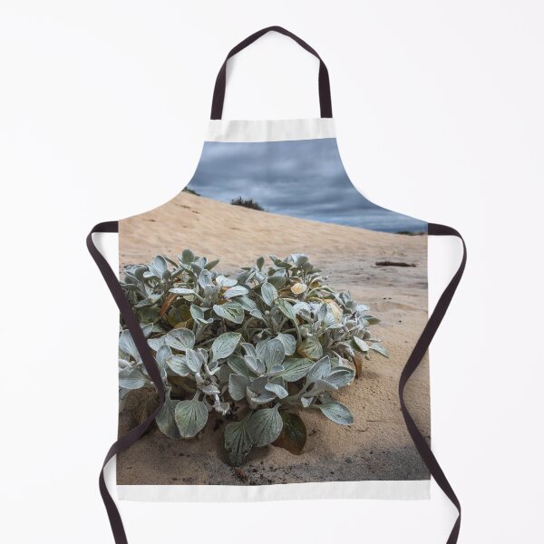 Item preview, Sand Plant designed and sold by Geoff Wols.