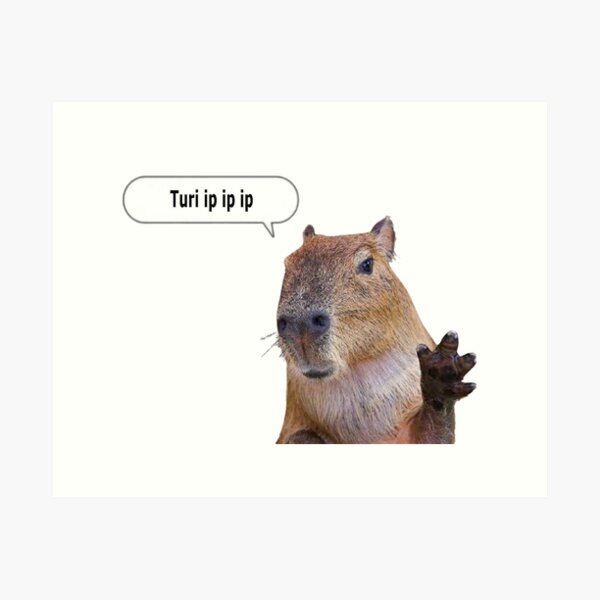 Vista previa del artículo con la obra «Carpincho OK, levanto el póster divertido de Meme: Tur ip ip ip», diseñado y vendido por PengaPingu.