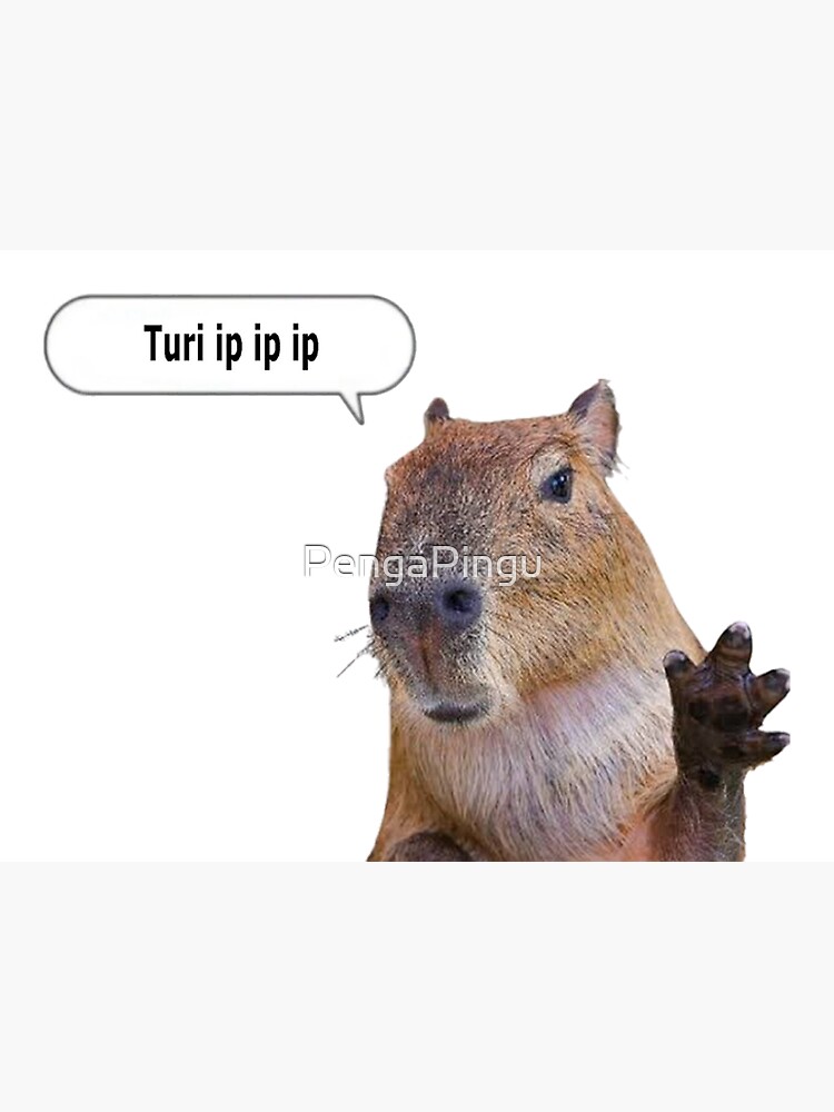 "Capybara OK, ich ziehe das lustige MemePoster hoch Tur ip ip ip