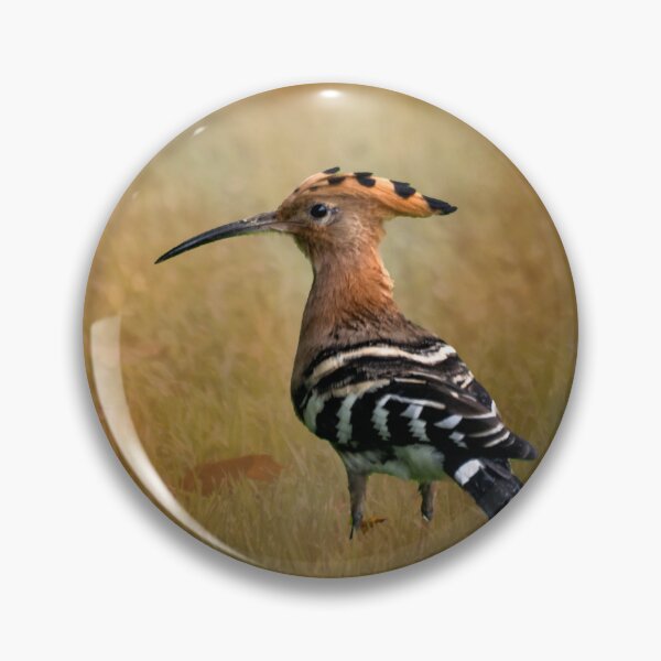 Item preview, Eurasian Hoopoe - Thailand designed and sold by Kathy Weaver.