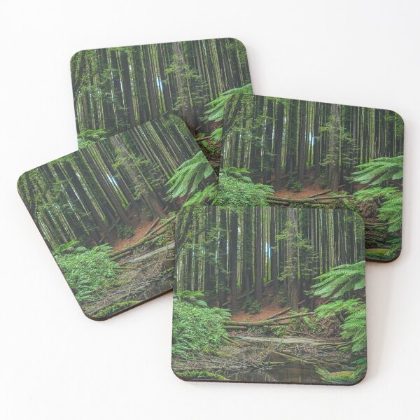 Item preview, Otways Redwood Forest designed and sold by AdventureUnlockedCo.