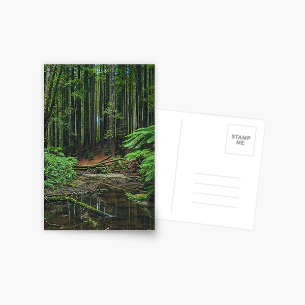 Item preview, Otways Redwood Forest designed and sold by AdventureUnlockedCo.