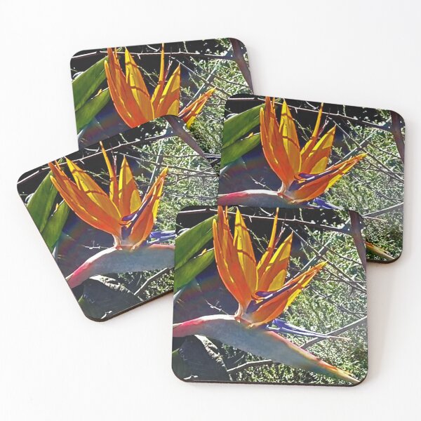 Item preview, Bright Bird of Paradise designed and sold by KazM.