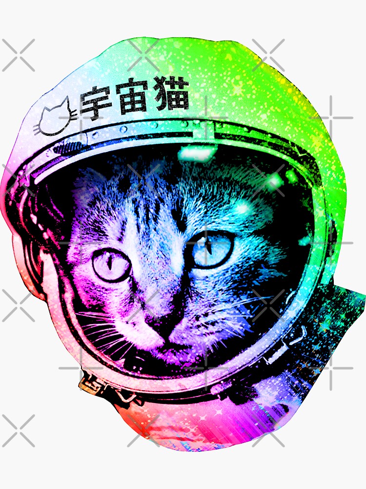 dj cat - space cat - cat pizza - cute cats oval sticker