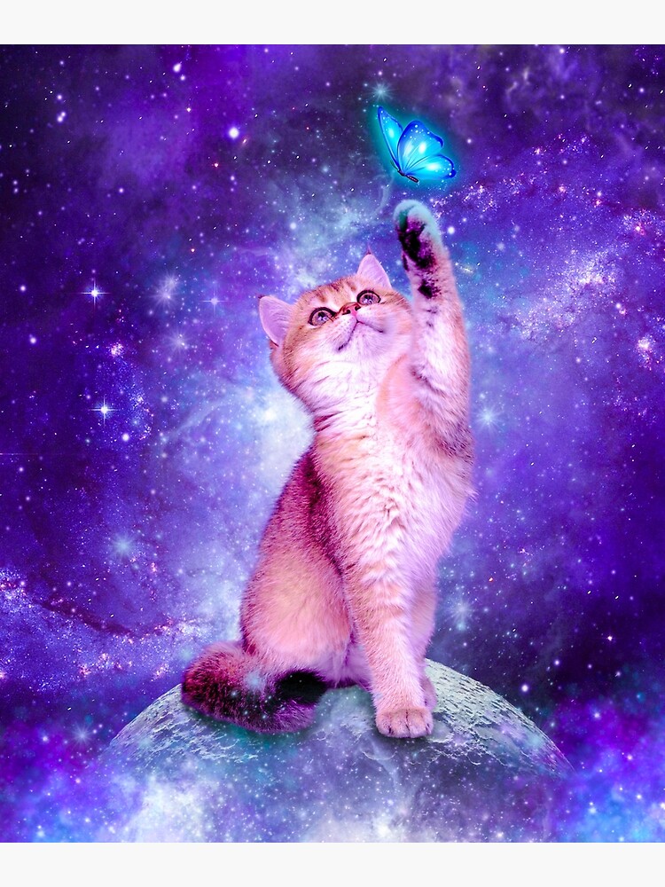 Cute best sale galaxy cat