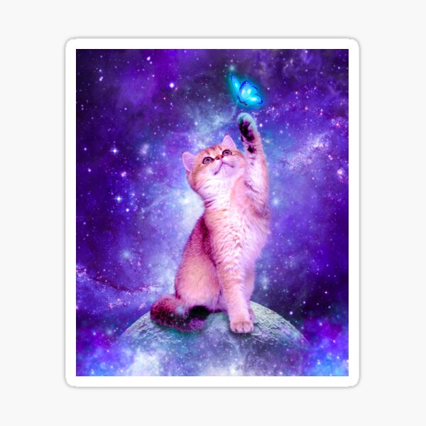 Cute baby cat in space Sticker for Sale by CraftyCosmos