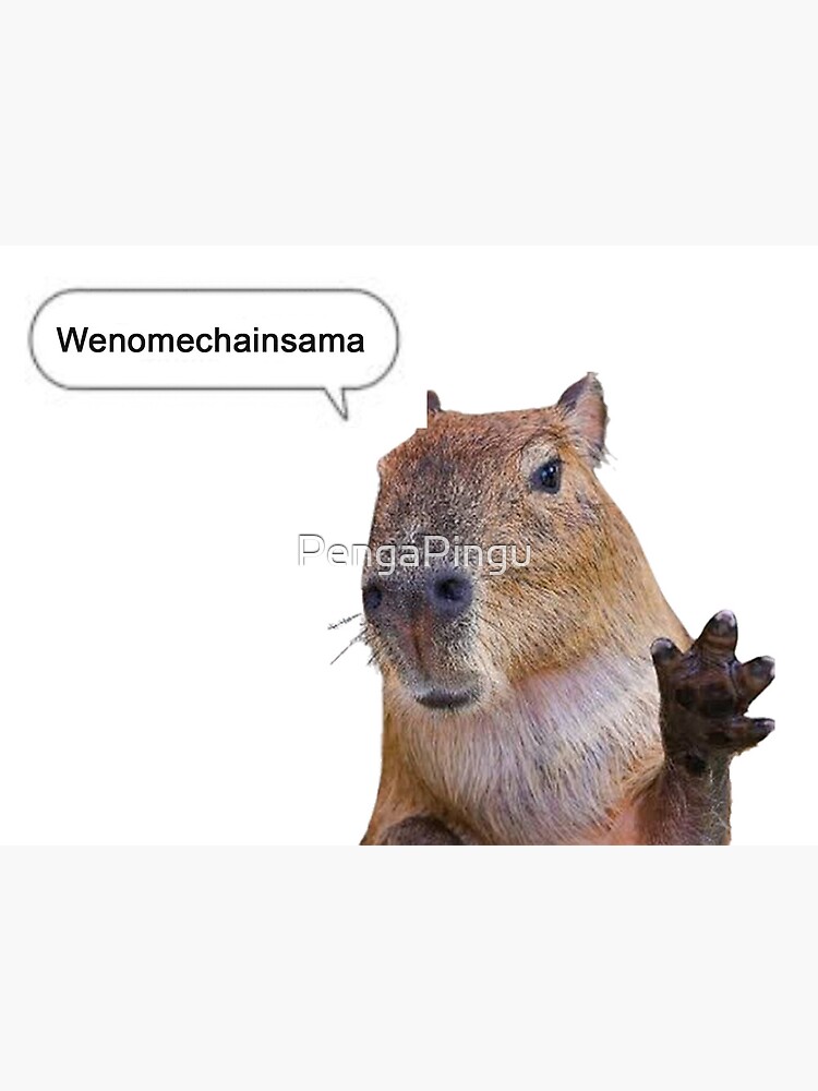 funny monke by Capybaramaster Sound Effect - Meme Button - Tuna