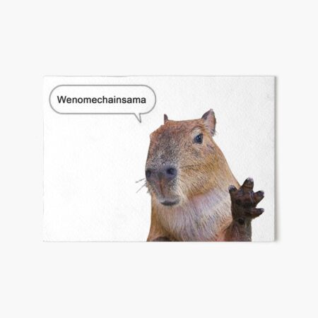 "Capybara OK I pull up Funny Meme Poster: wenomechainsama tumajarbisaun