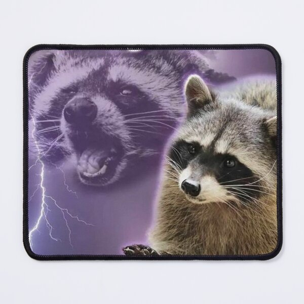 Item preview, Racoon Existing? In this economy? designed and sold by meabh00.
