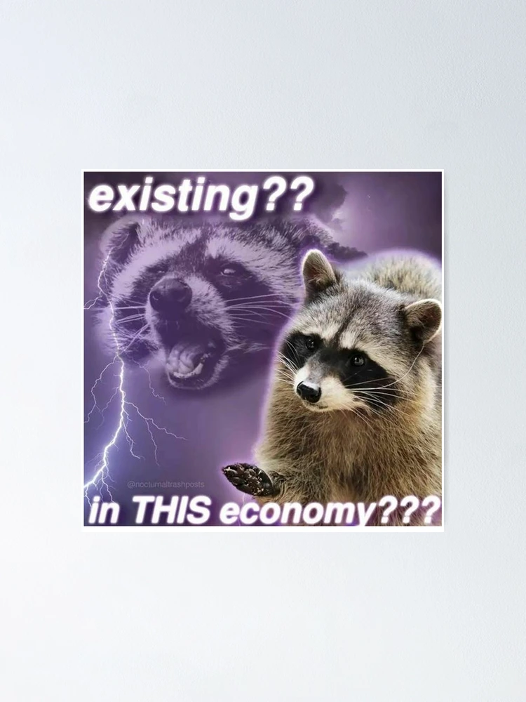 Racoon Existing? In this economy?