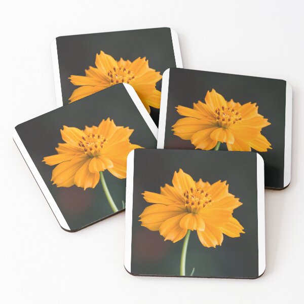 Item preview, yellow cosmea flower in minimalist design designed and sold by Nicole Bleck.
