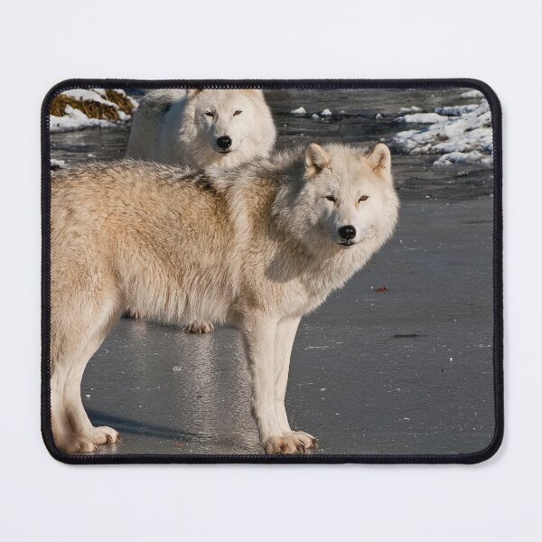 Item preview, Arctic Wolves designed and sold by Michael Cummings.