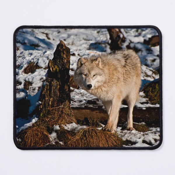 Item preview, Arctic Wolf designed and sold by Michael Cummings.