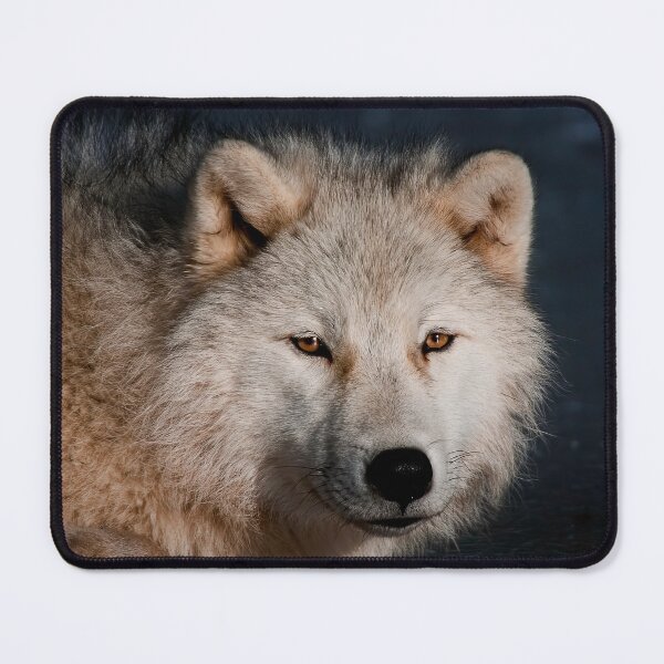 Item preview, Arctic wolf designed and sold by Michael Cummings.