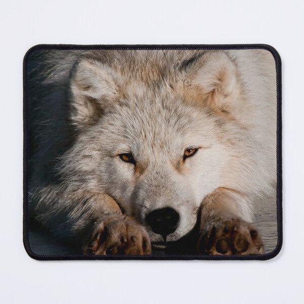 Item preview, Arctic Video designed and sold by Michael Cummings.