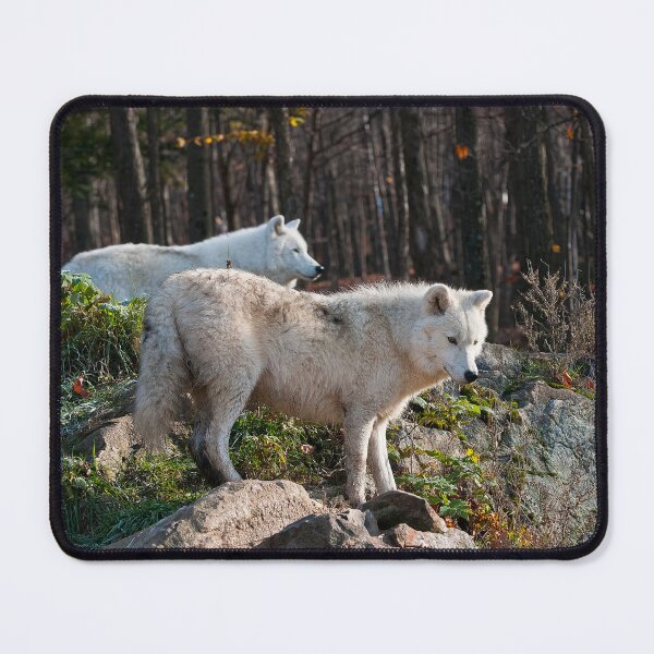 Item preview, Arctic Wolves designed and sold by Michael Cummings.