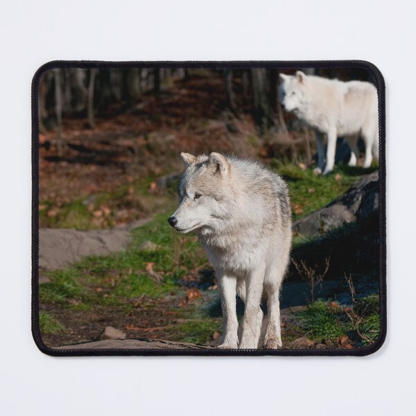 Item preview, Timber Wolves designed and sold by Michael Cummings.