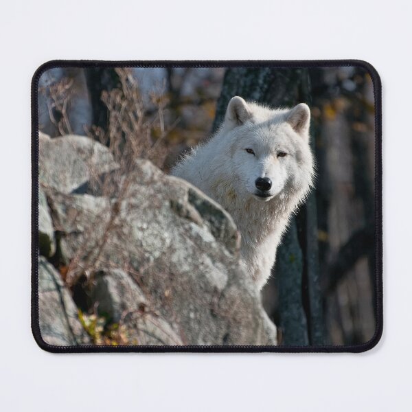 Item preview, Arctic Wolf designed and sold by Michael Cummings.
