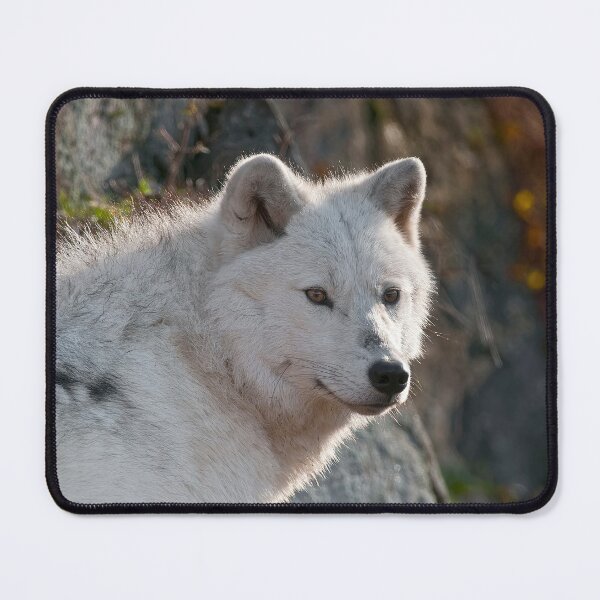 Item preview, Arctic Wolf designed and sold by Michael Cummings.