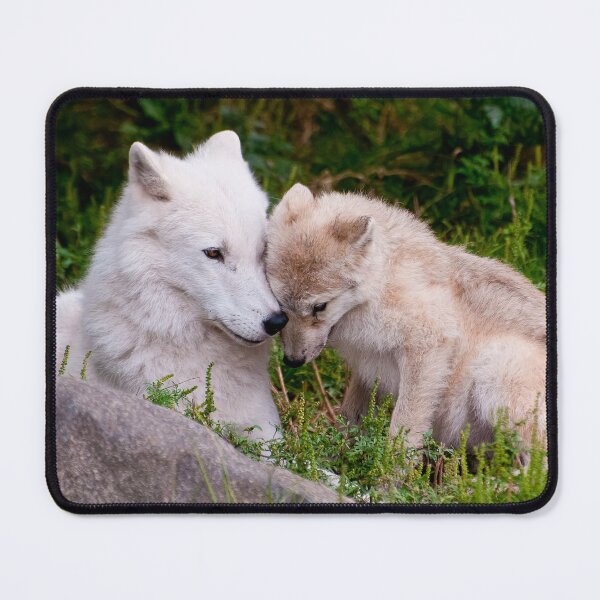 Item preview, Arctic Wolf And Pup designed and sold by Michael Cummings.