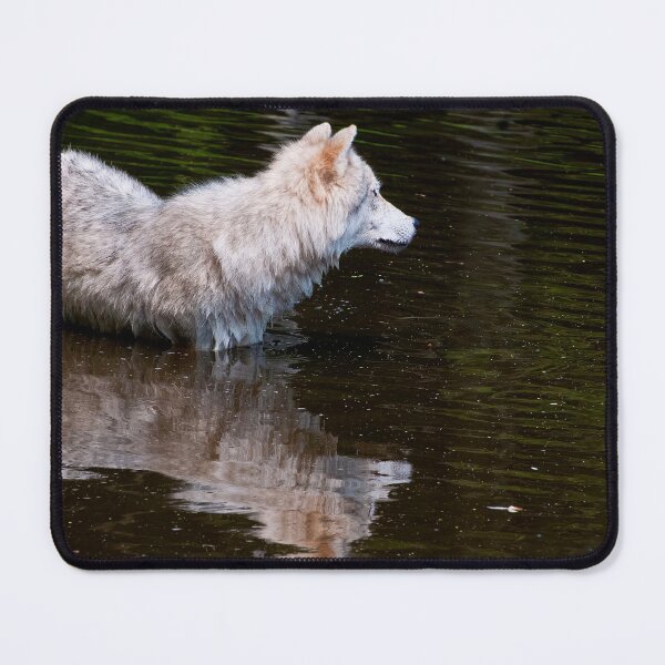 Item preview, Arctic Wolf In Pond designed and sold by Michael Cummings.